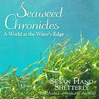 Seaweed Chronicles