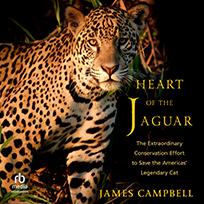 Heart of the Jaguar