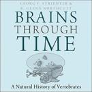 Brains Through Time