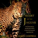 Heart of the Jaguar